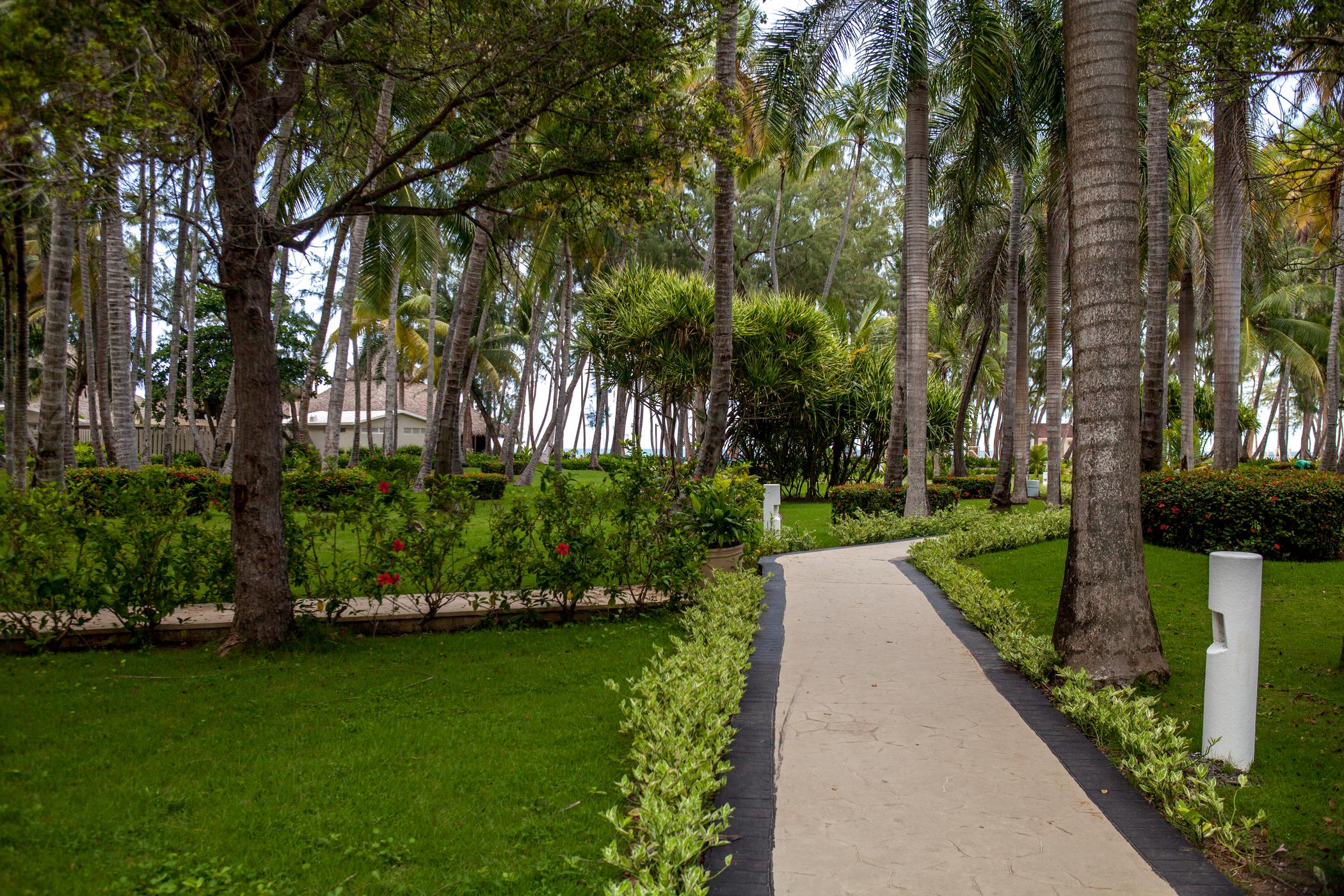 Vista Sol Punta Cana Dış mekan fotoğraf